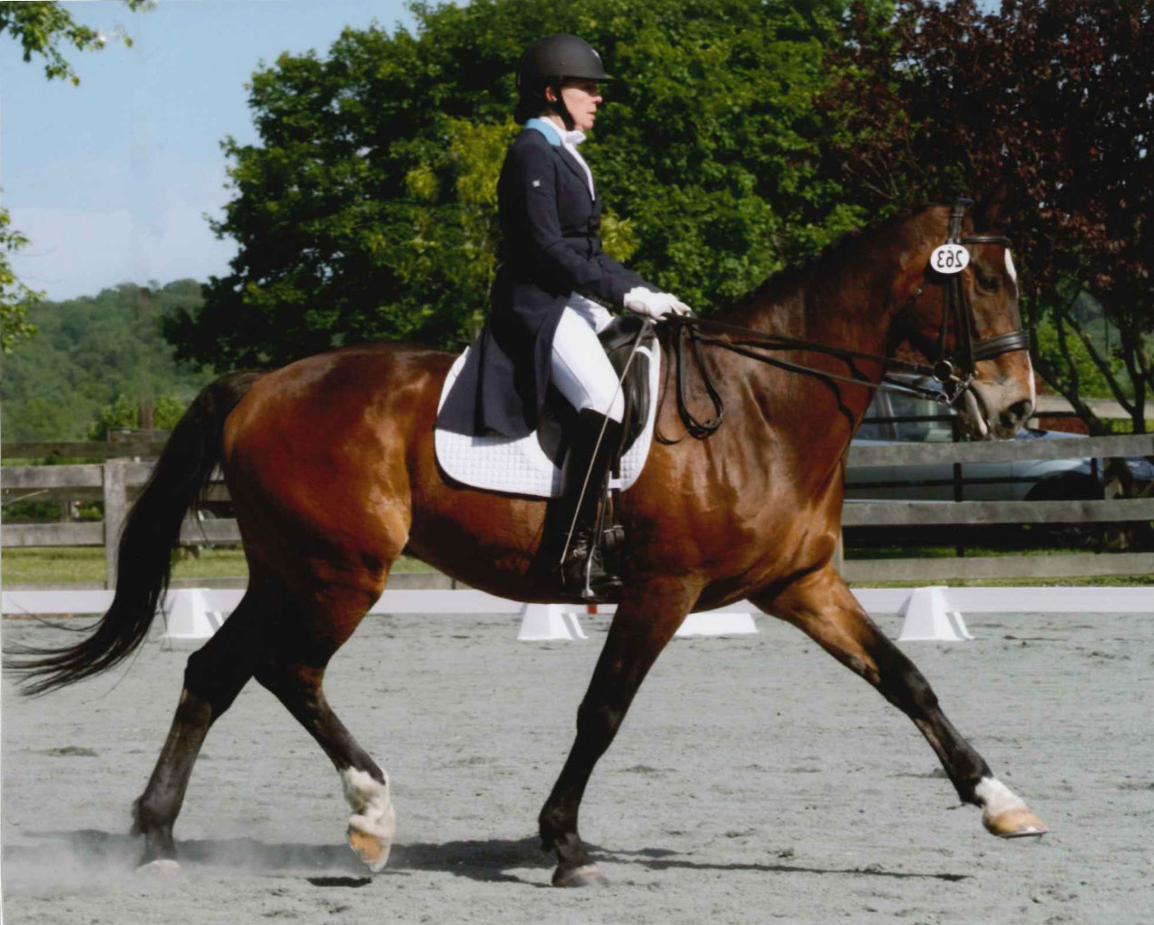 Barb Alpert, a State College PA REALTOR&reg; and lifelong equestrian, riding a dressage test at a competition