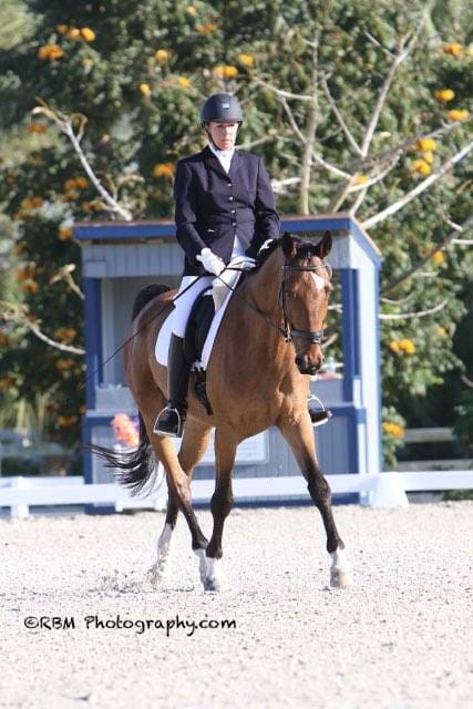 Barb Alpert, an equestrian REALTOR&reg; specializing in horse farms in Centre County PA, riding a dressage test